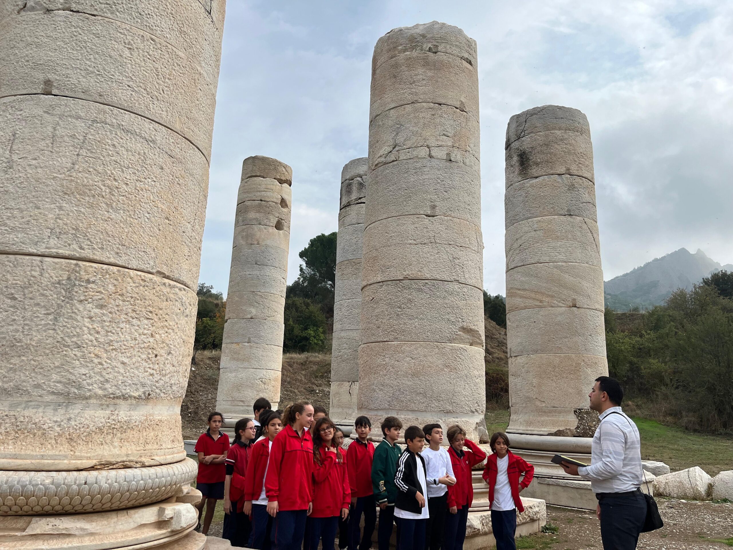 d013d894-675d-4d28-95a8-bedbf9ea062f