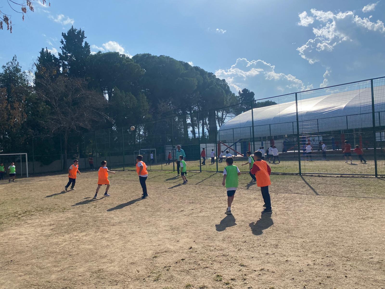 74569683-9cb8-4688-8ed5-fa3ef2d2549d