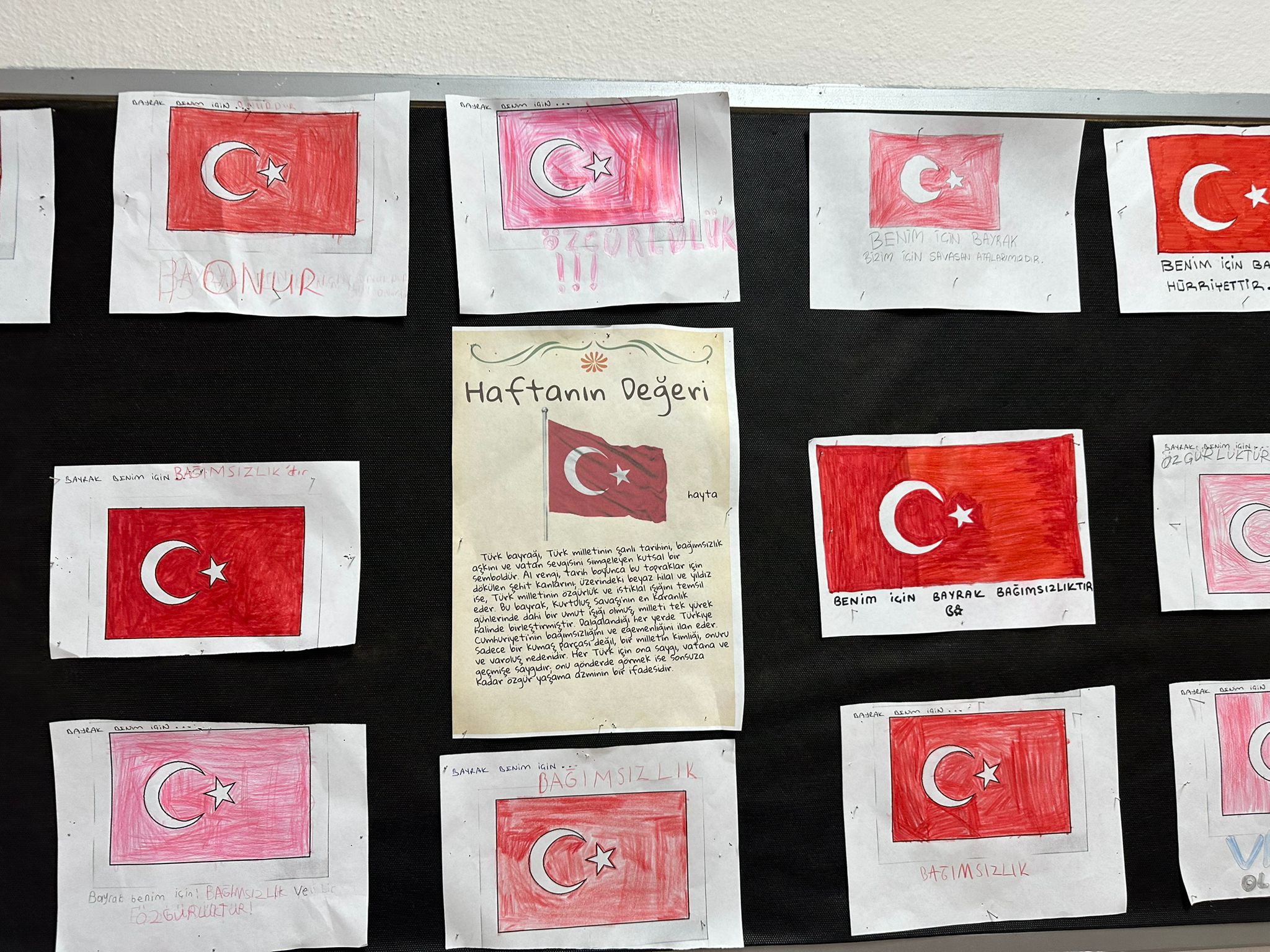 WhatsApp Image 2026-02-06 at 13.38.56 (1)