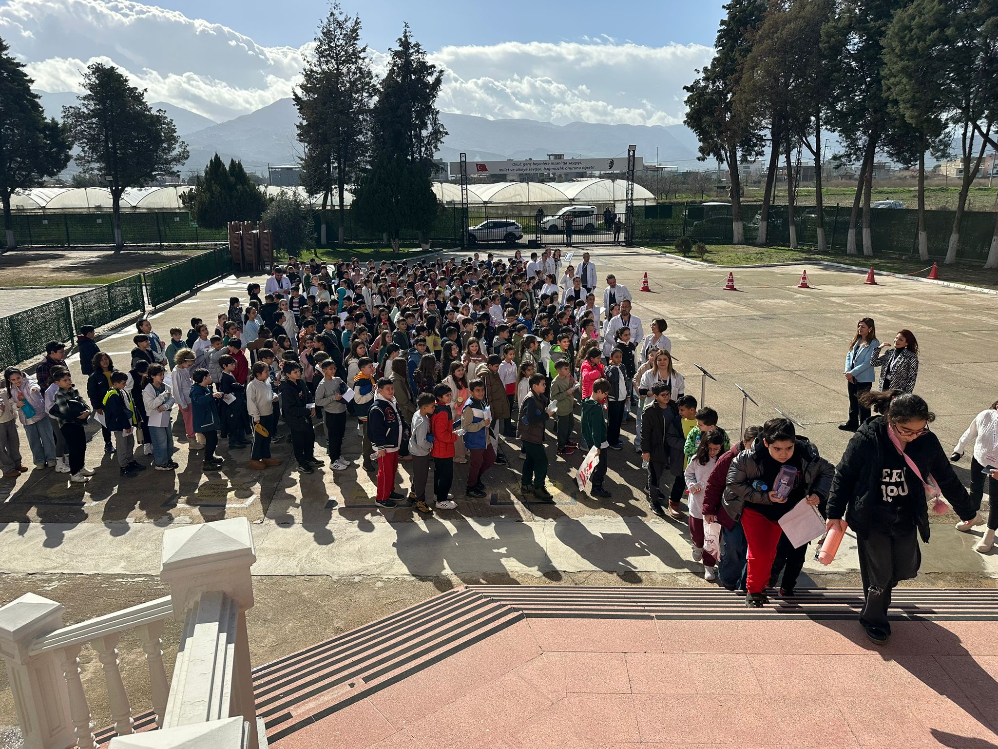 WhatsApp Image 2026-02-07 at 15.26.51