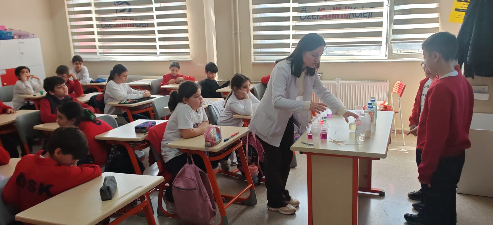 8dd17752-b30f-412c-919a-a13572ce275e